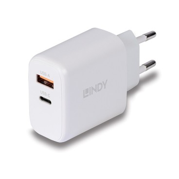 Lindy Chargeur GaN 65W USB Type A & C