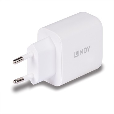 Lindy Chargeur GaN 65W USB Type A & C