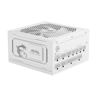 MSI MAG A1000GL PCIE5 WHITE unité d'alimentation d'énergie 1000 W 24-pin ATX ATX Blanc