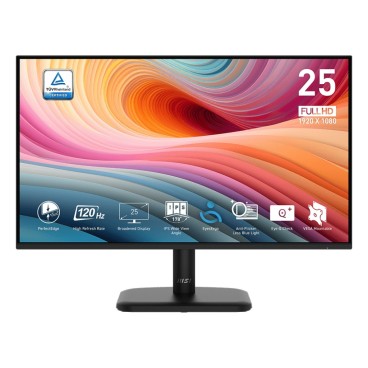 MSI PRO MP251L E2 écran plat de PC 62,2 cm (24.5") 1920 x 1080 pixels Full HD LED Noir