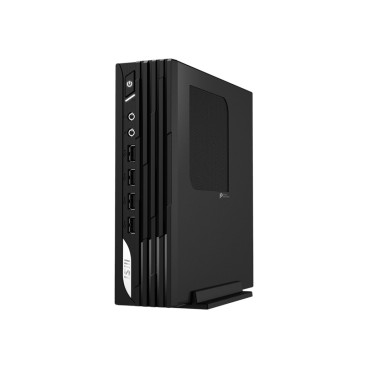 MSI Pro DP21 13M-1070EU Intel® Core™ i3 i3-13100 8 Go DDR4-SDRAM 256 Go SSD Windows 11 Pro Mini PC Noir