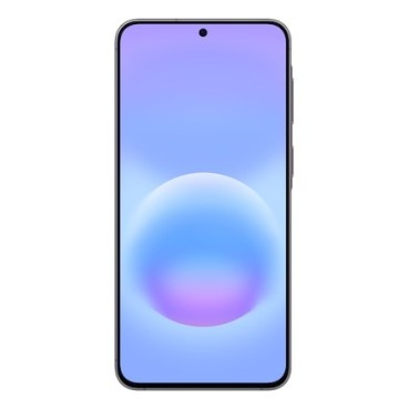 Samsung Galaxy A57 5G Enterprise Edition 17 cm (6.7") Double SIM Android 16.0 USB Type-C 8 Go 256 Go 5000 mAh Gris