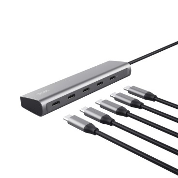 Trust Halyx USB 3.2 Gen 1 (3.1 Gen 1) Type-C Argent