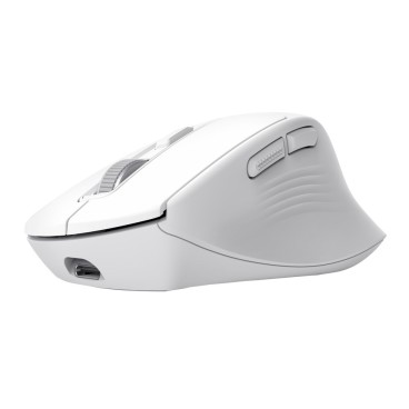 Trust Niven souris Bureau Droitier RF sans fil + Bluetooth 3200 DPI