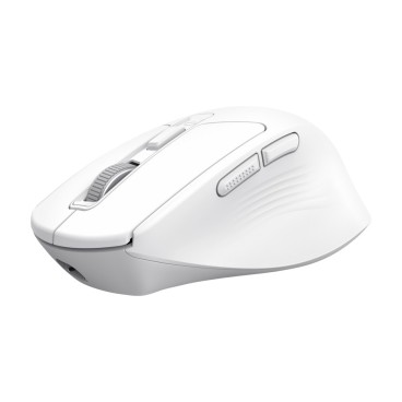 Trust Niven souris Bureau Droitier RF sans fil + Bluetooth 3200 DPI