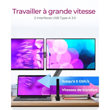 ICY BOX IB-DK2251AC Avec fil USB 3.2 Gen 2 (3.1 Gen 2) Type-A Noir