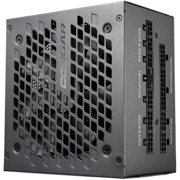COUGAR CGR-GEXX2-1000 unité d'alimentation d'énergie 1000 W 20+4 pin ATX ATX Noir