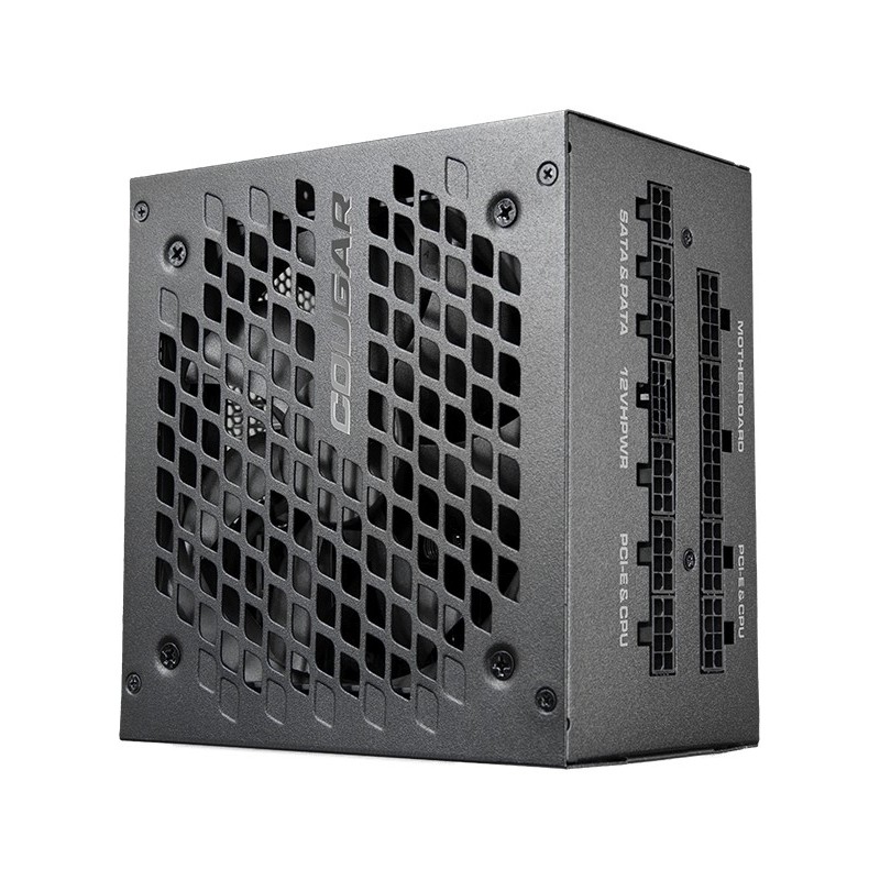 COUGAR CGR-GEXX2-1000 unité d'alimentation d'énergie 1000 W 20+4 pin ATX ATX Noir