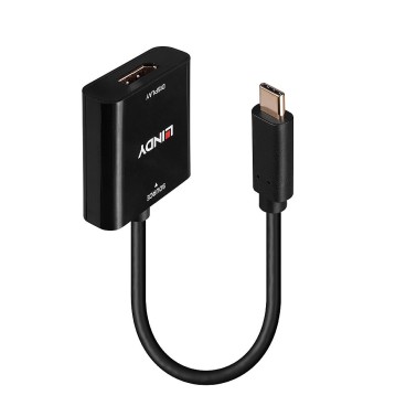 Lindy Convertisseur USB Type C vers DisplayPort 4K144
