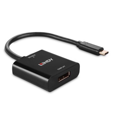 Lindy Convertisseur USB Type C vers DisplayPort 4K144