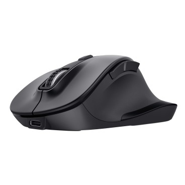 Trust Fyda souris Bureau Droitier RF sans fil + Bluetooth Optique 2400 DPI