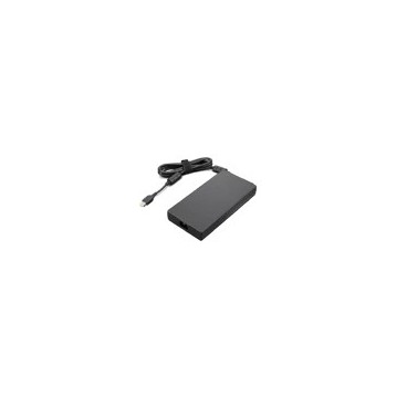Lenovo 4X20Z83995 adaptateur de puissance & onduleur Intérieure 230 W Noir