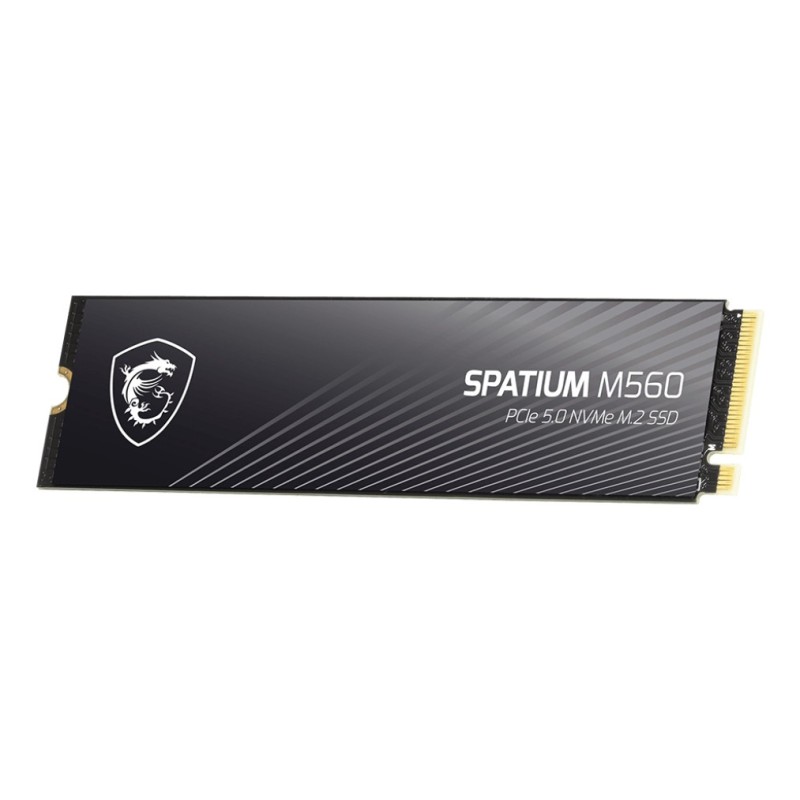 MSI Spatium M560 PCIE 5.0 NVME M.2 1TB 1 To PCI Express 5.0 3D NAND