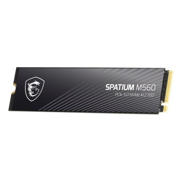 MSI Spatium M560 PCIE 5.0 NVME M.2 2 To PCI Express 5.0 3D NAND