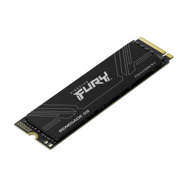 Kingston Technology 4T FURY RENEGADE G5 M.2 2280 NVMe SSD