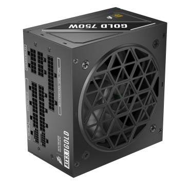 1STPLAYER NGDP-GLD-750-BK-EU unité d'alimentation d'énergie 750 W 24-pin ATX ATX Noir