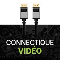 Connectique vidéo